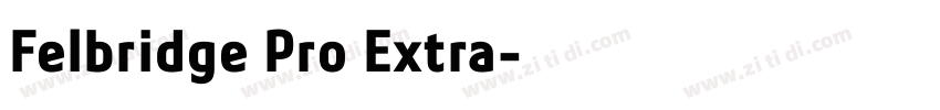 Felbridge Pro Extra字体转换